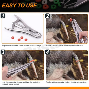 Alicates de Acero Inoxidable para Eliminar Anillos de Ganado, Herramienta Profesional Esterilizable para Castración de Cabras y Cerdos - Product Image 5
