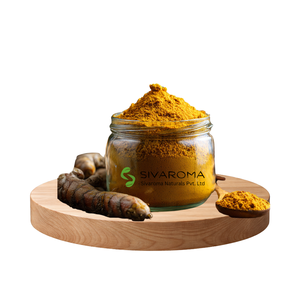 Extracto Seco de Cúrcuma en Polvo 95% Natural, Suministro a Granel de Extracto de Cúrcuma de Alta Pureza, Ingrediente Herbal para Uso Nutracéutico y Alimentario - Product Image 1