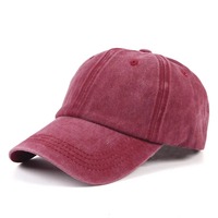 Gorra de Béisbol Deportiva Ajustable con Logotipo Personalizado, Transpirable, Impermeable, de Malla, 6 Paneles, 100% Algodón, Unisex, Lavable, al por Mayor