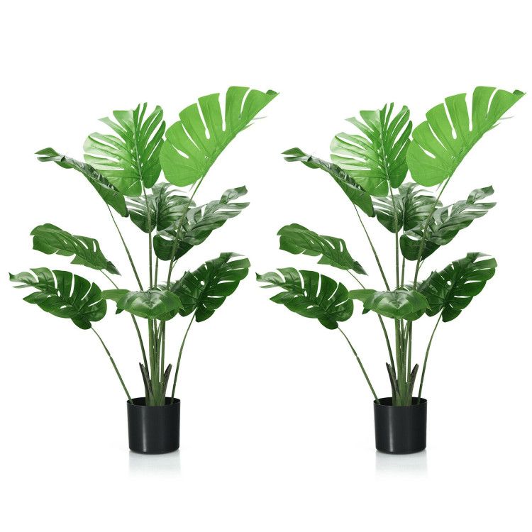 Green, Black Color