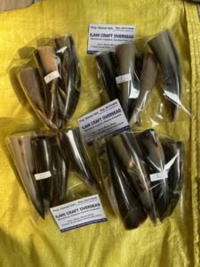 Punta de Cuerno de Búfalo Natural, Color Natural, Alta Calidad - Product Image 5