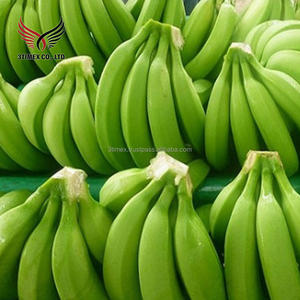 Plátano Cavendish Dulce de Sabor 100% Natural, Fresco de Vietnam, Empresa 3Timex - Envío Rápido, Venta al por Mayor, 40 Días de Duración, 4H-5H-6H - Product Image 6