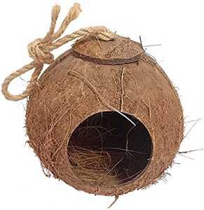 Casa para Pájaros de Coco Natural – Sostenible y Decorativa para Uso en Exteriores // Mr.Tom - Product Image 2