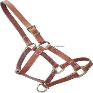 Licou de cheval en cuir noir fabriqué à la main avec logo en relief Style occidental anatomique Durable pour les selles personnalisées de course anglaise - Product Image 1