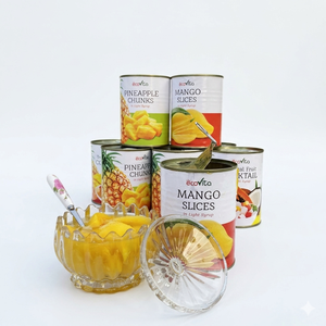 Oferta Especial Deliciosa Estándar Internacional: Rodajas de Mango en Almíbar Hechas en Vietnam, Envasadas en Lata de 20oz - Product Image 4