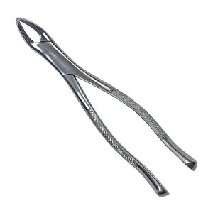Forceps d'extraction dentaire robustes pour l'élimination professionnelle des dents, la chirurgie buccale et les procédures chirurgicales dentaires - Product Image 3