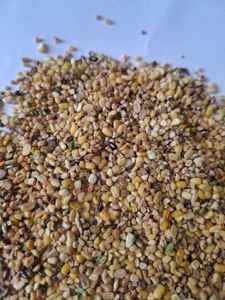 Meilleur Moong Dal Frais de Qualité Supérieure, Riche en Protéines, Alimentation pour Bétail, Prix Usine en Gros pour la Nutrition, Kyaari 30kg - Product Image 1