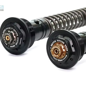 Système d'amortissement de fourche avant GEARS pour Kawasaki Z400 (18~) avec double tube interne (FFC-250-T) - Product Image 1