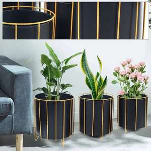 Jardinería Artesanía de metal esencial Forma personalizada y macetas de diseño para decoraciones de entrada de hogar y oficina - Product Image 3