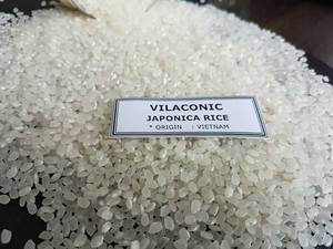 Arroz Japonica de Grano Redondo de Primera Calidad, 5% de Grano Partido, Arroz de Alta Calidad para Sushi, Suministro a Granel desde Vietnam |   VILACONIC - Product Image 3
