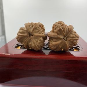 Lampe à sel en noyer Wenwan triangulaire, rare, avec trois têtes de <span class=keywords><strong>lion</strong></span> blancs nobles |   Objets d'art en bois Feng Shui polis à la main - Product Image 5