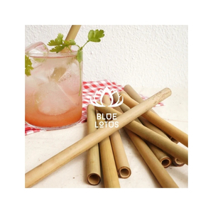 SUCÈS DE VENTE Pailles en bambou écologiques pour smoothies et service de thé, finition soignée, conception réutilisable pour l'exportation B2B - Product Image 1
