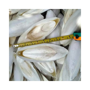 Os de Seiche Naturel Marque Blanche pour Magasins d'Articles pour Animaux - Product Image 1