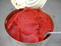 Approvisionnement en gros de pâte de tomate doublement concentrée de qualité supérieure en bouteille/sac/boîte pour le commerce mondial