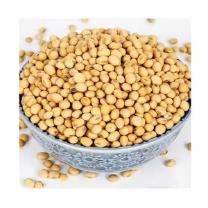 Haricots de soja chinois riches en protéines, jaunes, en sac de 50 kg, pour germination et alimentation - Product Image 4