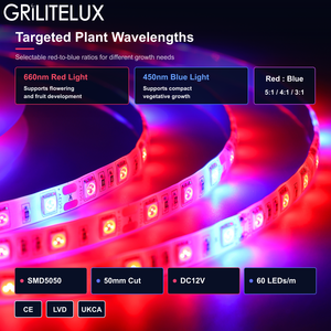 แถบไฟ LED ปลูกต้นไม้แบบยืดหยุ่น SMD5050 DC12V 60 LEDs/เมตร แผงวงจร PCB ขนาด 10 มม. 3:1 สีแดงน้ำเงิน IP20 รับประกัน 2 ปี สำหรับการเพาะพันธุ์ - Product Image 1