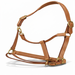 Harnais de cheval en cuir anglais durable avec nezier rembourré doux, quincaillerie en alliage, personnalisable OEM ODM pour concours et usage polyvalent - Product Image 6
