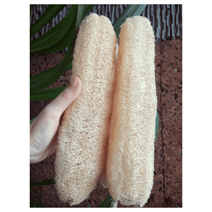 Éponges de loofah naturelles séchées, matériau de gourde de loofah séchée pour éponge de cuisine et décoration, fournisseur Vietnamien - Product Image 6