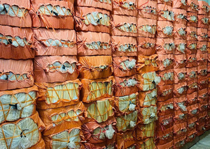 หลอดดูดน้ำไม้ไผ่ธรรมชาติ ใช้ซ้ำได้ ย่อยสลายได้ เป็นมิตรกับสิ่งแวดล้อม ชุดหลอดดูดน้ำสำหรับโรงแรมและบาร์ จำหน่ายจำนวนมาก - Product Image 5