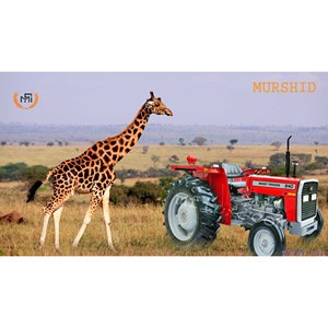 Tractor Massey Ferguson MF 240 2WD de 50 HP, Confiable, para Tareas Agrícolas Ligeras, Bajo Presupuesto, Agricultura Mecanizada - Product Image 2
