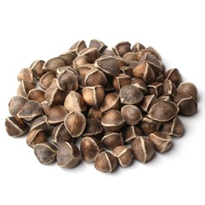 Graines de Moringa Oleifera Premium 100% Pures et Naturelles, Graines de Moringa Brutes, Non-OGM, Sans Produits Chimiques, Sans Additifs - Product Image 2