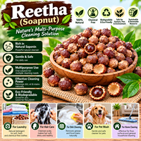 Bubuk Biji Reetha Alami Kelas Kosmetik Ekstrak Tanaman Hijau Bebas Bahan Kimia Bahan Pembersih untuk Deterjen dan Perawatan Pribadi