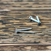 Tornillos Métricos Autorroscantes de Cabeza Plana Torx PDC de Acero al Carbono Clase 4.8 6.8 con Rosca Gruesa, Alto Torque, Antideslizantes y con Óxido Negro
