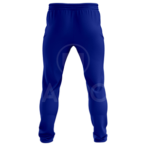 Fournisseur d'uniformes de cricket personnalisés OEM, ensemble maillot et pantalon de cricket par sublimation, fabricant professionnel de vêtements d'équipe, vente en gros - Product Image 5