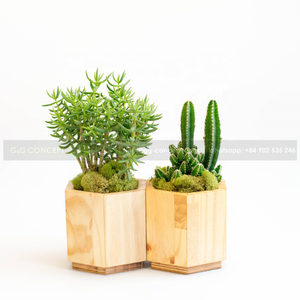 Macetas de madera Natural para decoración del hogar, juego de macetas de diseño moderno, hexagonal, elevado para jardín - Product Image 4