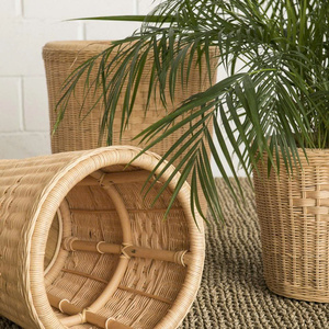 Adorable Maceta de Ratán para Diseño de Jardín de Artex Thien Thanh - Product Image 4