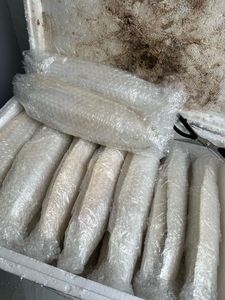 Hueso de sepia de alta calidad: hueso de sepia seco de Vietnam para mascotas, hueso de calamar asequible y Premium para alimentación de aves y animales - Product Image 3