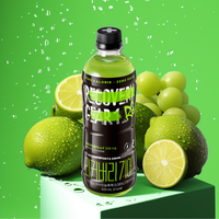 LINGTEA RECOVERY GEAR 1 Sabor Shine Muscat Lime, Bebida Deportiva Sin Calorías ni Azúcar, 500mL, Caja con 100% Electrolitos y Vitaminas Puras