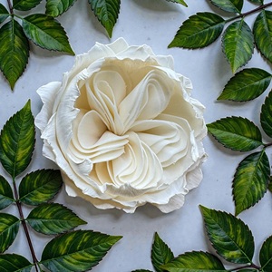 VADEE Sola Wood Flower Craft Handmade Sustainable Pure Ivory Elegance Sola Wood Flowers 8.5 CM Sesbania Fiber Rod Thailand - Product Image 6