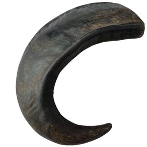 Shofar en corne de bœuf naturel, écologique, poli pour la sonorisation, de haute qualité, casher, instrument de musique traditionnel en corne de mouton - Product Image 2