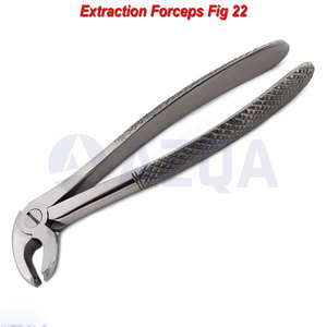 Forceps d'extraction dentaire en acier inoxydable pour molaires inférieures, pinces chirurgicales dentaires pour usage professionnel en chirurgie buccale - Product Image 4
