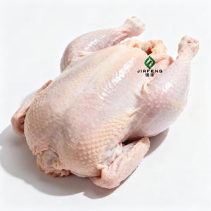 ผู้จัดจำหน่ายสินค้าจีนราคาส่ง เนื้อไก่สดแช่แข็ง อก<span class=keywords><strong>ไก่</strong></span> <span class=keywords><strong>ปีก</strong></span><span class=keywords><strong>ไก่</strong></span> เนื้อไก่ - Product Image 5