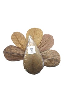Almendras Indias para Acuario, Plástico Ecológico para Uso Diario, Paquete de 12, Hojas de 19-25 cm (7.5-9.8 Pulgadas) para Dormitorio/Sala de Estar - Product Image 6