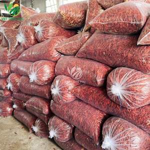 พริกแห้ง – คุณภาพพรีเมียมสำหรับการแปรรูปอาหารจากเวียดนาม - Product Image 6