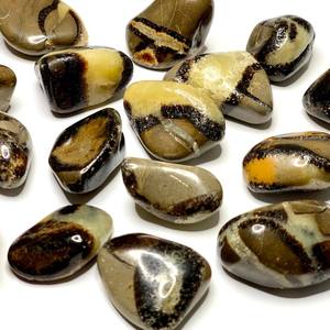 Pierres Roulées Septariennes Naturelles, Cristal de Guérison Poli, Style Amour, Écologiques, 2-3cm, pour Décoration Maison, Mariage, Énergie Reiki - Product Image 4