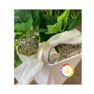 Natural Shell Seashell Napkin <b>Ring</b> Premium Seashell Napkin <b>Ring</b> for Coastal Theme Dining and Elegant Table Presentation - Product Image 1