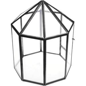 Terrario de Cristal en Forma de Tumba, Recipiente Artístico Transparente para Exhibición de Suculentas, Plantas Aéreas y Decoración Elegante - Product Image 1