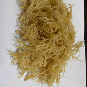 สาหร่ายยูเชียม่าคอตตอนนีแห้งออร์แกนิกคุณภาพสูงขายส่งในรูปแบบบรรจุถุง/ คุณลิมา - Product Image 1