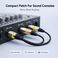 Câble Combo XLR Professionnel Ice Combo, Câble de Signal Powercon DMX512 pour Équipement d'Éclairage Scénique, Assemblage de Câbles Personnalisés OEM ODM