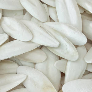 Os de Seiche Séché Hai Piao Xiao – Disponible en Stock – Os de Seiche Séché (Os de Calamar) Toutes Tailles - Product Image 1