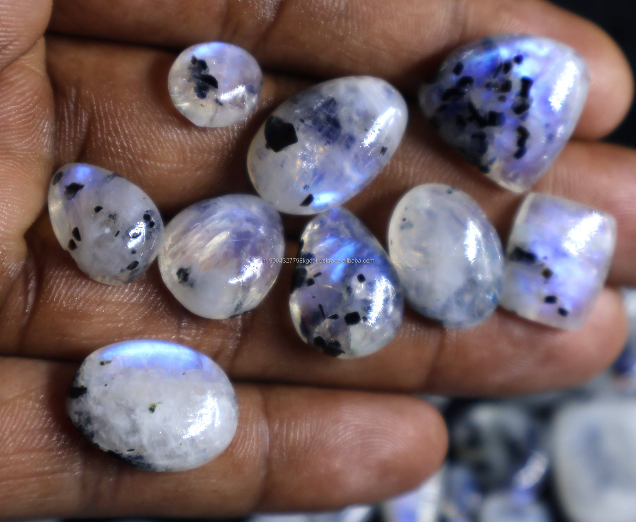 เห็นเป็นภาพ