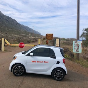 Smart Fortwo Eléctrico Global Supply: Hatchback Compacto con Aspecto Elegante, Interior Confortable y Estacionamiento Fácil - Product Image 5