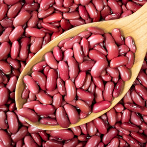 Haricots rouges secs de qualité supérieure, grande quantité disponible, haricots rouges polis pour les acheteurs internationaux, disponibilité fiable en gros - Product Image 1