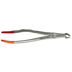 Fórceps de extracción Dental Premium, instrumentos quirúrgicos de raíz, Instrumentos dentales, Dental fórceps de extracción, acero inoxidable - Product Image 2