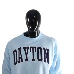 Sweat-shirt à col rond Dayton avec imprimé lettres pour femme, bleu clair, manches longues, tricoté, style automne - Product Image 2
