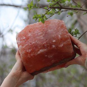 Bloc de sel rose de l'Himalaya cylindrique à suspendre avec trou pour l'apport minéral des animaux, sel de roche naturel du Pakistan - Product Image 4